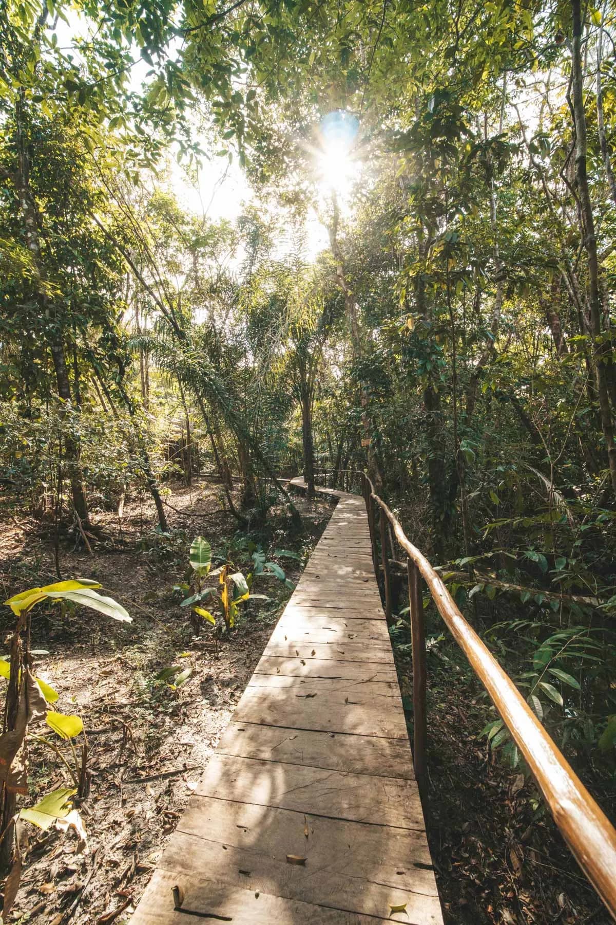 Área externa do Anauê Amazônia